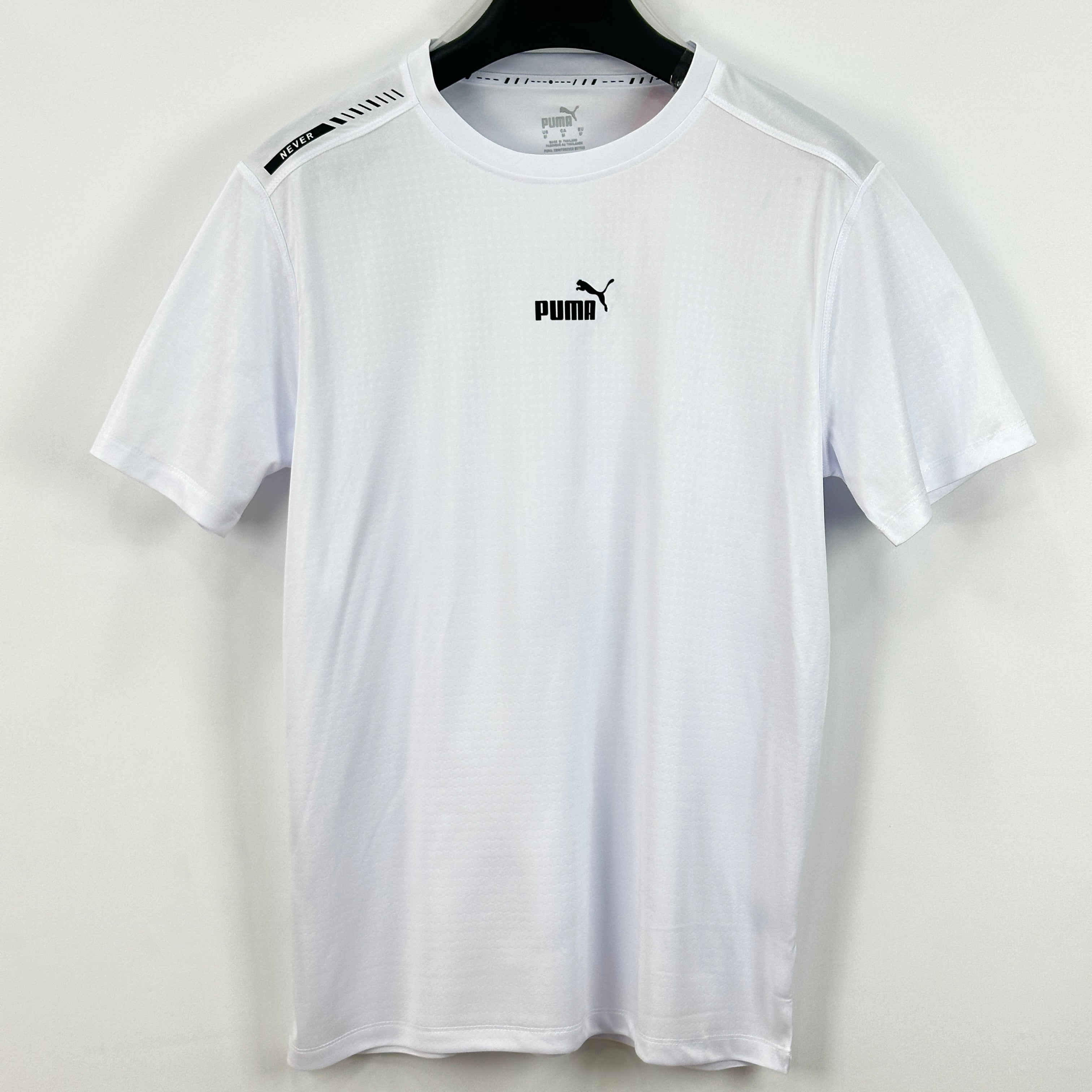 Ts p003